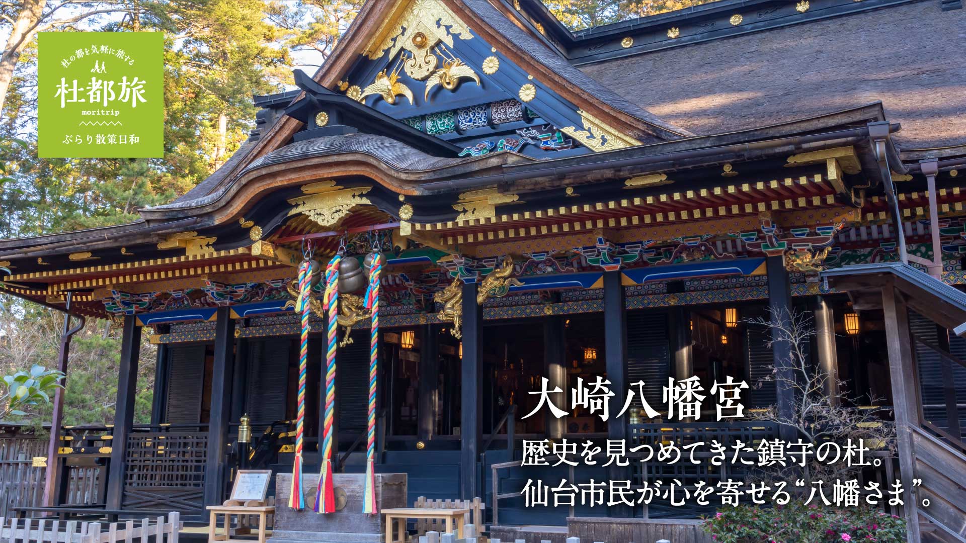 大崎八幡宮〜歴史を見つめてきた鎮守の杜。仙台市民が心を寄せる“八幡さま”。