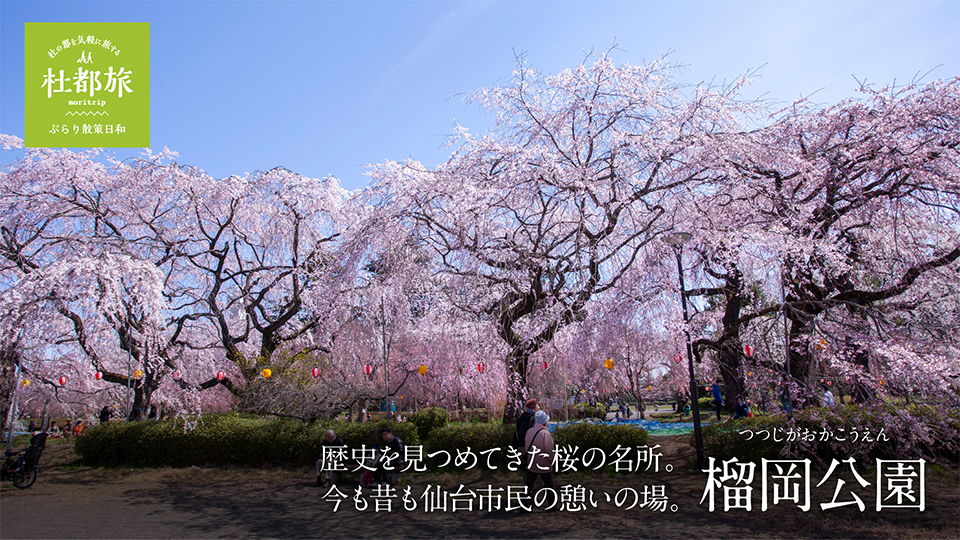 榴岡公園（つつじがおかこうえん）