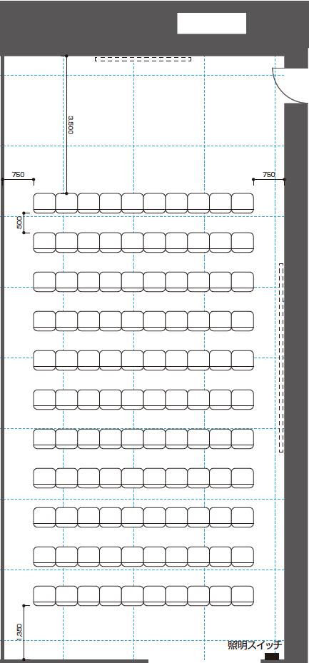 Theater Style 110 seats